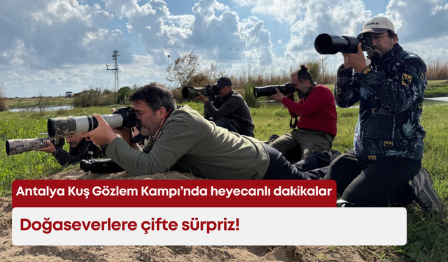 Antalya Kuş Gözlem Kampı’nda doğaseverlere çifte sürpriz!