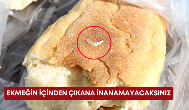 Ekmeğin içinden çıkana inanamayacaksınız