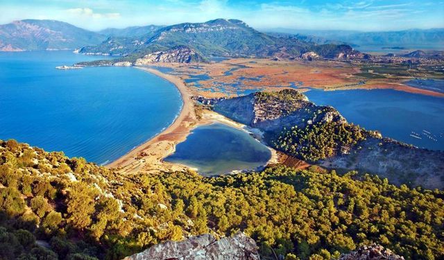 Muğla’da büyük heyecan! Nesli tükenmekte olan devler sahile ilk imzayı attı