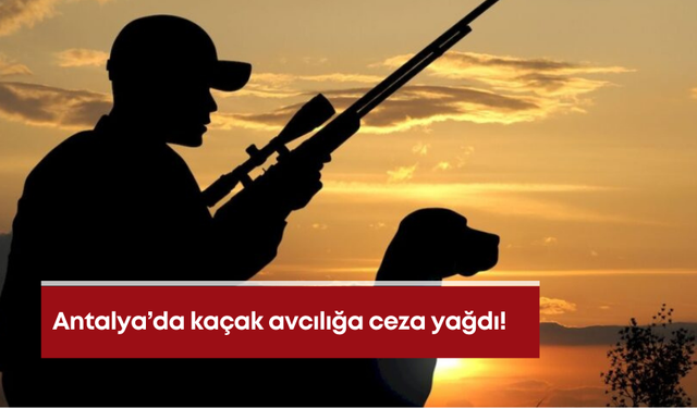 Antalya’da kaçak avcılığa ceza yağdı!