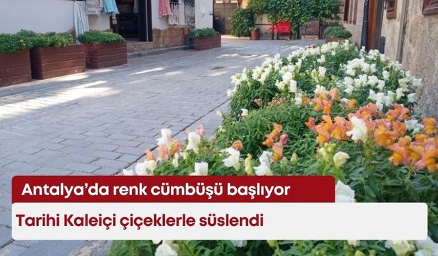 Antalya’da renk cümbüşü başlıyor: Tarihi Kaleiçi çiçeklerle süslendi