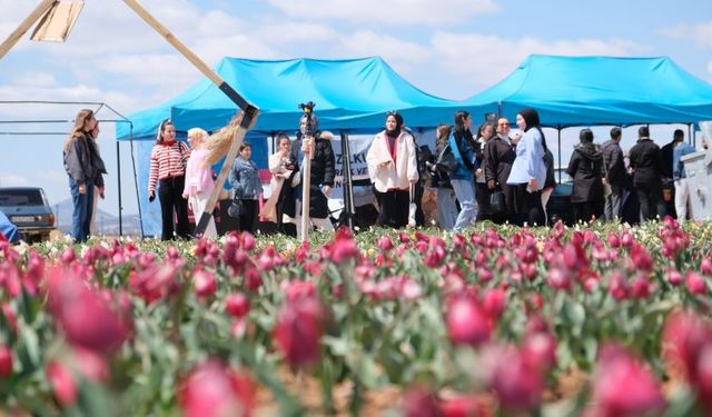 Karaman'da 25 milyon lale soğanı üretildi, 200 bin ziyaretçi bekleniyor