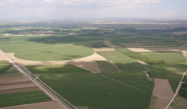Konya, dünyada sıralamasında 3. sırada: Bakanlık 318 ton destekte bulundu