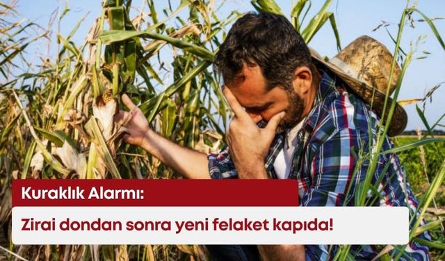 Kuraklık Alarmı: Zirai dondan sonra yeni felaket kapıda!