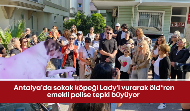 Antalya’da sokak köpeği Lady’i vurarak öld*ren emekli polise tepki büyüyor