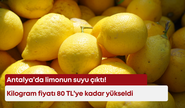 Antalya’da limonun suyu çıktı! Kilogram fiyatı 80 TL’ye kadar yükseldi