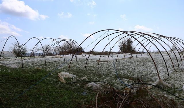 Antalya Büyükşehir Belediyesi dolu felaketinin yaralarını sarıyor