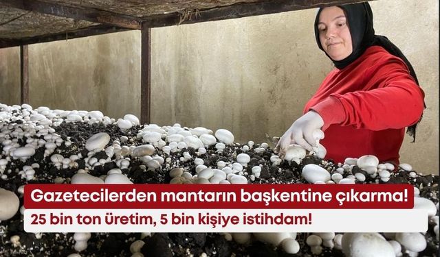Gazetecilerden mantarın başkentine çıkarma! 25 bin ton üretim, 5 bin kişiye istihdam!