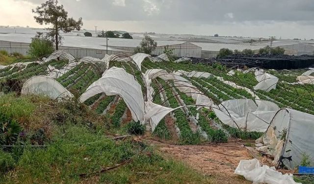 Mersin'de fırtına, seraları parçaladı