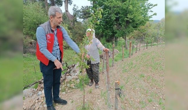 Menteşe'de tarımda kalite için sıkı denetim