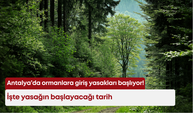 Antalya’da ormanlara giriş yasakları başlıyor! İşte yasağın başlayacağı tarih