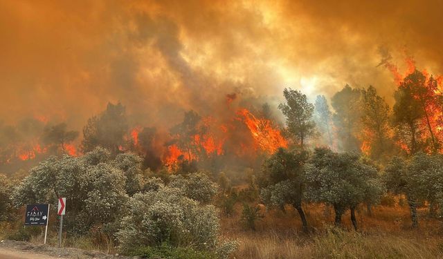 Antalya için ‘yeşil vatan’ uyarısı! Önümüzdeki günlere dikkat