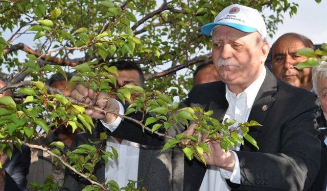 Tarımda tehlike çanları çalıyor: Yaş ortalaması 59'a çıktı, gençler tarımdan uzaklaşıyor