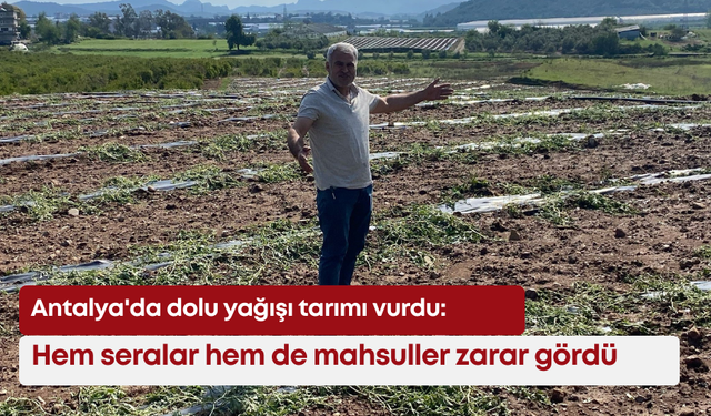 Antalya'da dolu yağışı tarımı vurdu: Hem seralar hem de mahsuller zarar gördü