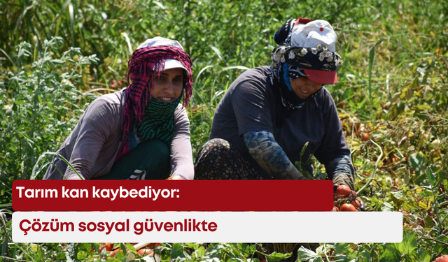 Tarım kan kaybediyor: Çözüm sosyal güvenlikte