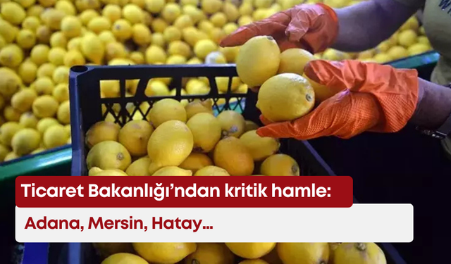 Ticaret Bakanlığı’ndan kritik hamle: Adana, Mersin, Hatay…