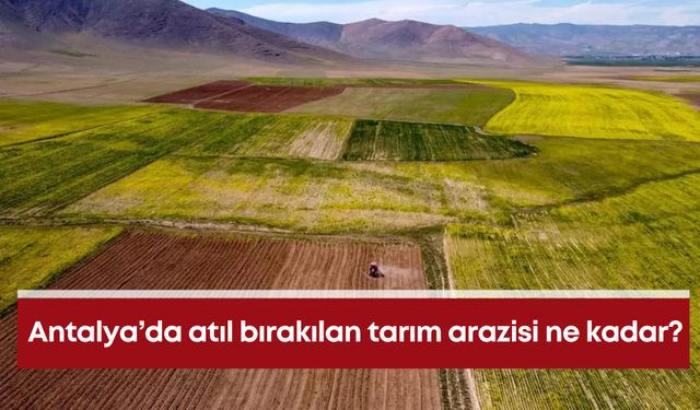 Antalya’da atıl bırakılan tarım arazisi ne kadar?