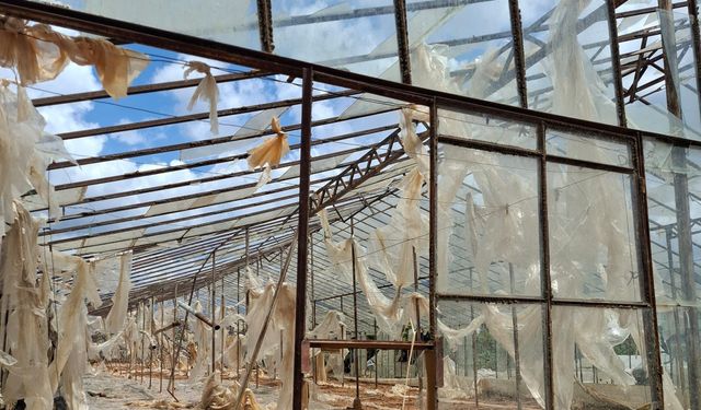 Antalya'da hortum seraları yerle bir etti: Çiftçinin zararı büyük