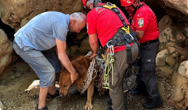 Fethiye'de AKUT ekibinden yürekleri ısıtan kurtarma çalışması