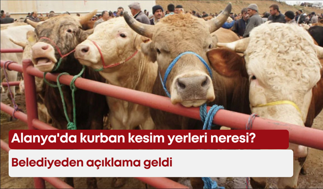 Alanya'da kurban kesim yerleri neresi? Belediyeden açıklama geldi