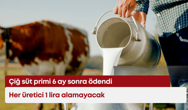 Çiğ süt primi 6 ay sonra ödendi: Her üretici 1 lira alamayacak