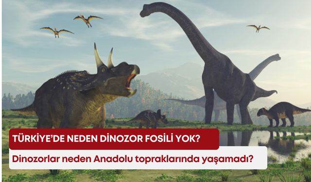 Türkiye’de neden dinozor fosili yok? Dinozorlar neden Anadolu topraklarında yaşamadı?