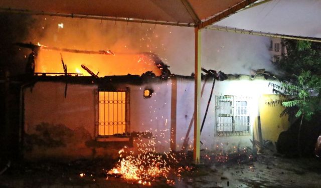 Antalya'da gecekondu alev alev yandı, anne kedi ve 4 yavrusu...