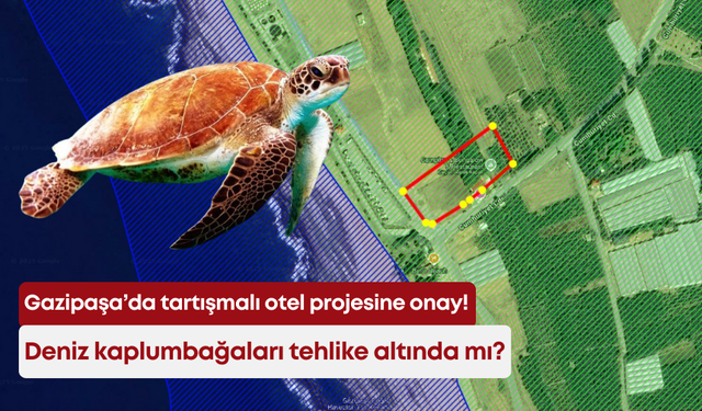 Gazipaşa’da tartışmalı otel projesine onay! Deniz kaplumbağaları tehlike altında mı?