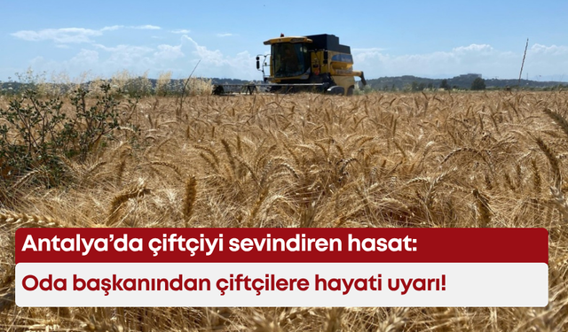 Antalya’da çiftçiyi sevindiren hasat: Oda başkanından çiftçilere hayati uyarı!