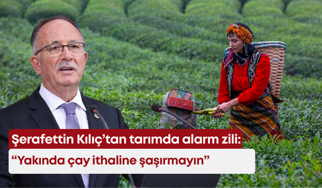 Şerafettin Kılıç’tan tarımda alarm zili: “Yakında çay ithaline şaşırmayın”