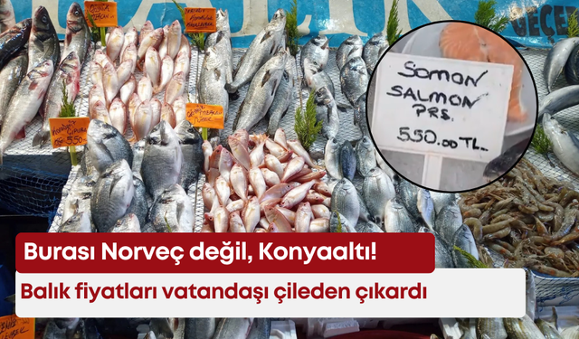 Burası Norveç değil, Konyaaltı! Balık fiyatları vatandaşı çileden çıkardı