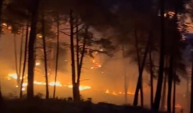 Tarsus'ta orman yangını kontrol altına alındı