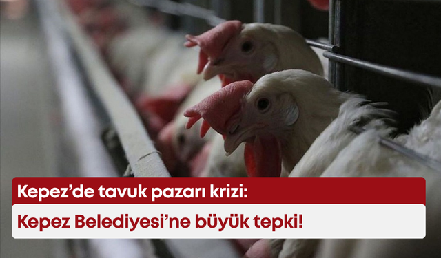 Kepez’de tavuk pazarı krizi: Kepez Belediyesi’ne büyük tepki!