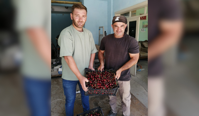 Akşehir'de don rekolteyi düşürdü, fiyatı artırdı! İşe kirazın fiyatı...