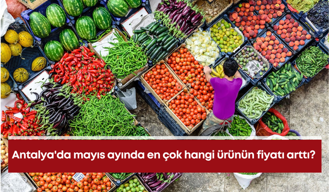 Antalya'da mayıs ayında en çok hangi ürünün fiyatı arttı?