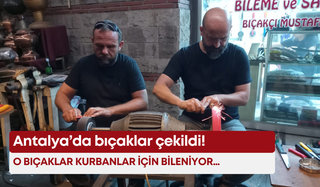 Antalya’da bıçaklar çekildi! O bıçaklar kurbanlar için bileniyor…