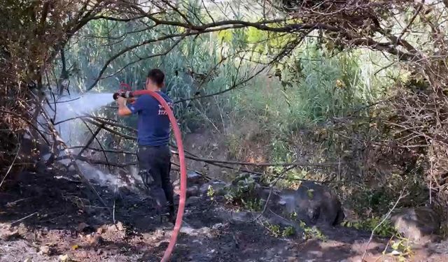 Bodrum'da otluk alan yangını kontrol altında
