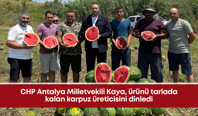 CHP Antalya Milletvekili Kaya, ürünü tarlada kalan karpuz üreticisini dinledi