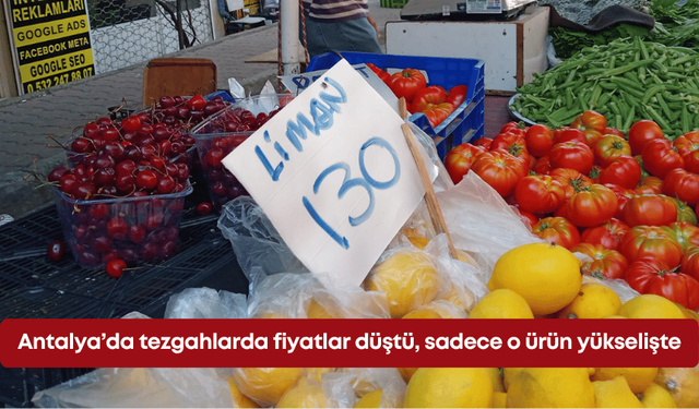 Antalya’da tezgahlarda fiyatlar düştü, sadece o ürün yükselişte