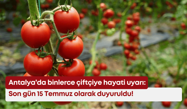 Antalya’da binlerce çiftçiye hayati uyarı: Son gün 15 Temmuz olarak duyuruldu!