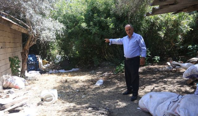 Hatay'da karayoluna kaçan boğa, kesimden kurtulamadı