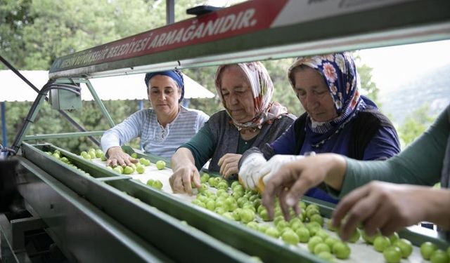 Mersin Büyükşehir'den kırsal kalkınmaya yatırım