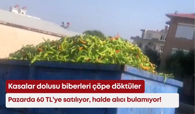 Kasalar dolusu biberleri çöpe döktüler: Pazarda 60 TL’ye satılıyor, halde alıcı bulamıyor!
