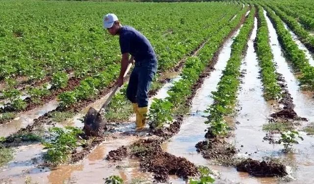 Tarımda maliyet alarmı büyüyor: Girdi fiyatları neden hızla yükseliyor