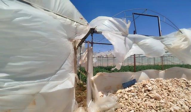 Mersin'de fırtına, seraları yıktı