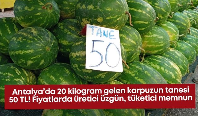 Antalya’da 20 kilogram gelen karpuzun tanesi 50 TL! Fiyatlarda üretici üzgün, tüketici memnun