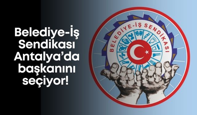 Antalya’da "Bu kadar da olmaz" dedirten fotoğraf karesi!