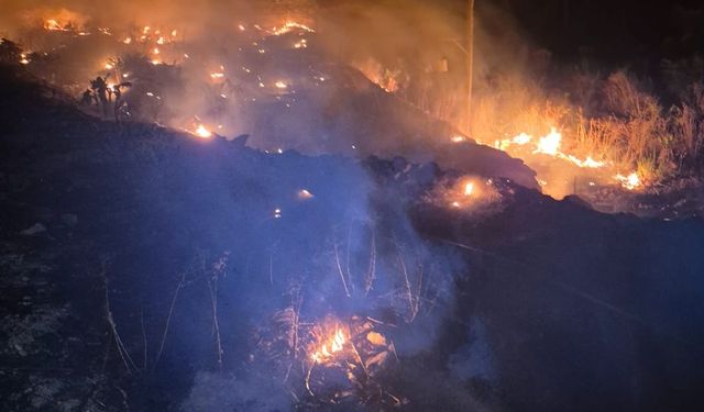 Antalya İtfaiyesi'nden orman yangınlarına cansuyu!