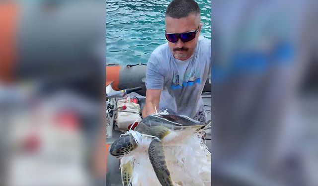 Antalya’da insanlık örneği: Çuvala dolanan caretta carettayı kurtardı
