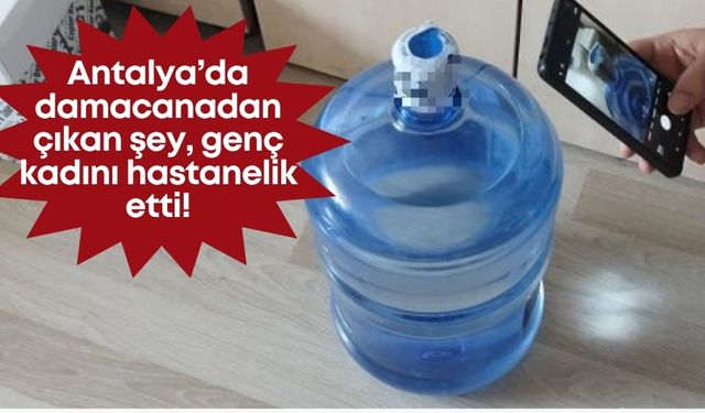 Antalya’da damacanadan çıkan şey, genç kadını hastanelik etti!